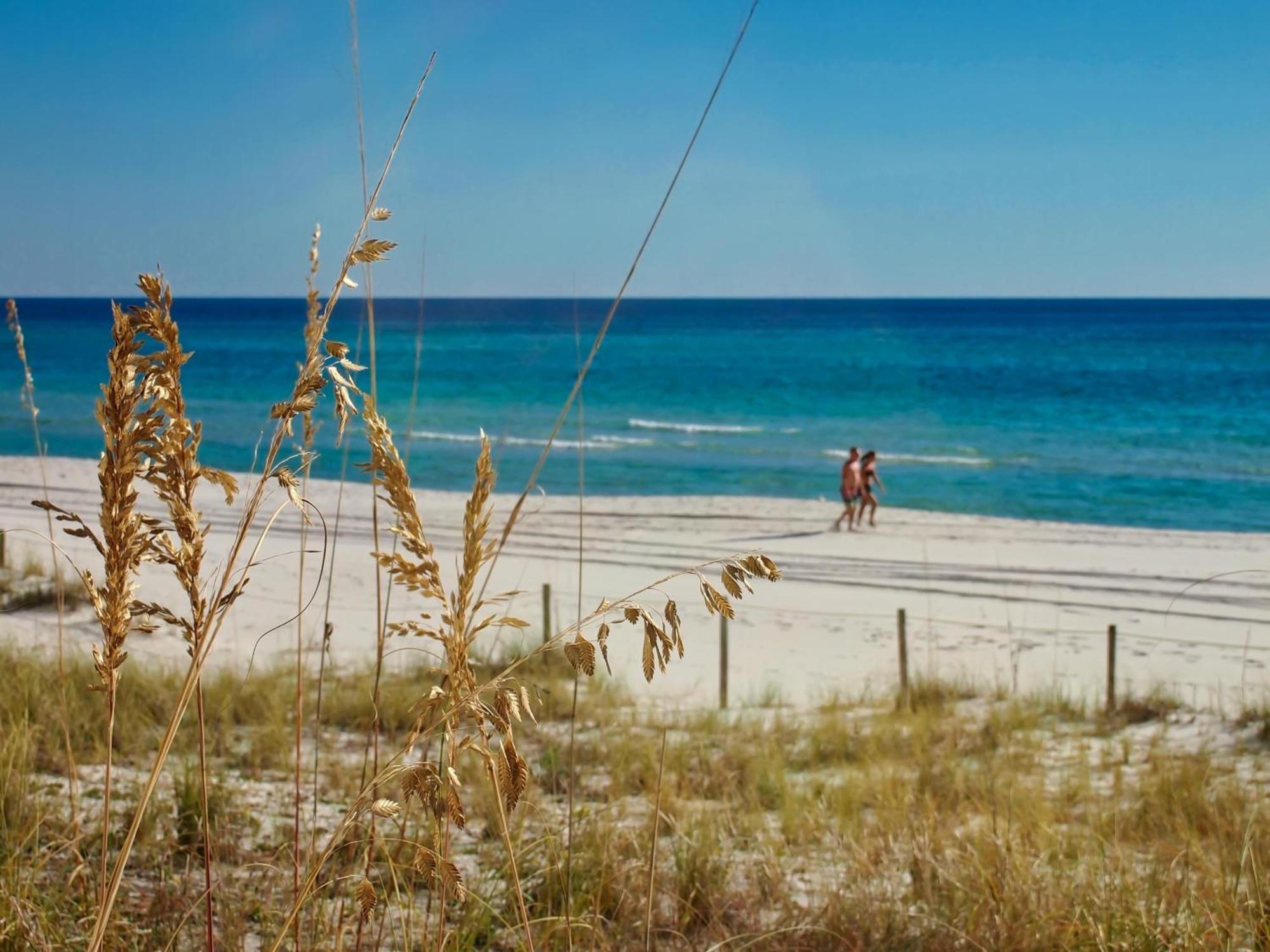 Ocean Reef 1107 Villa Panama City Beach Eksteriør bilde